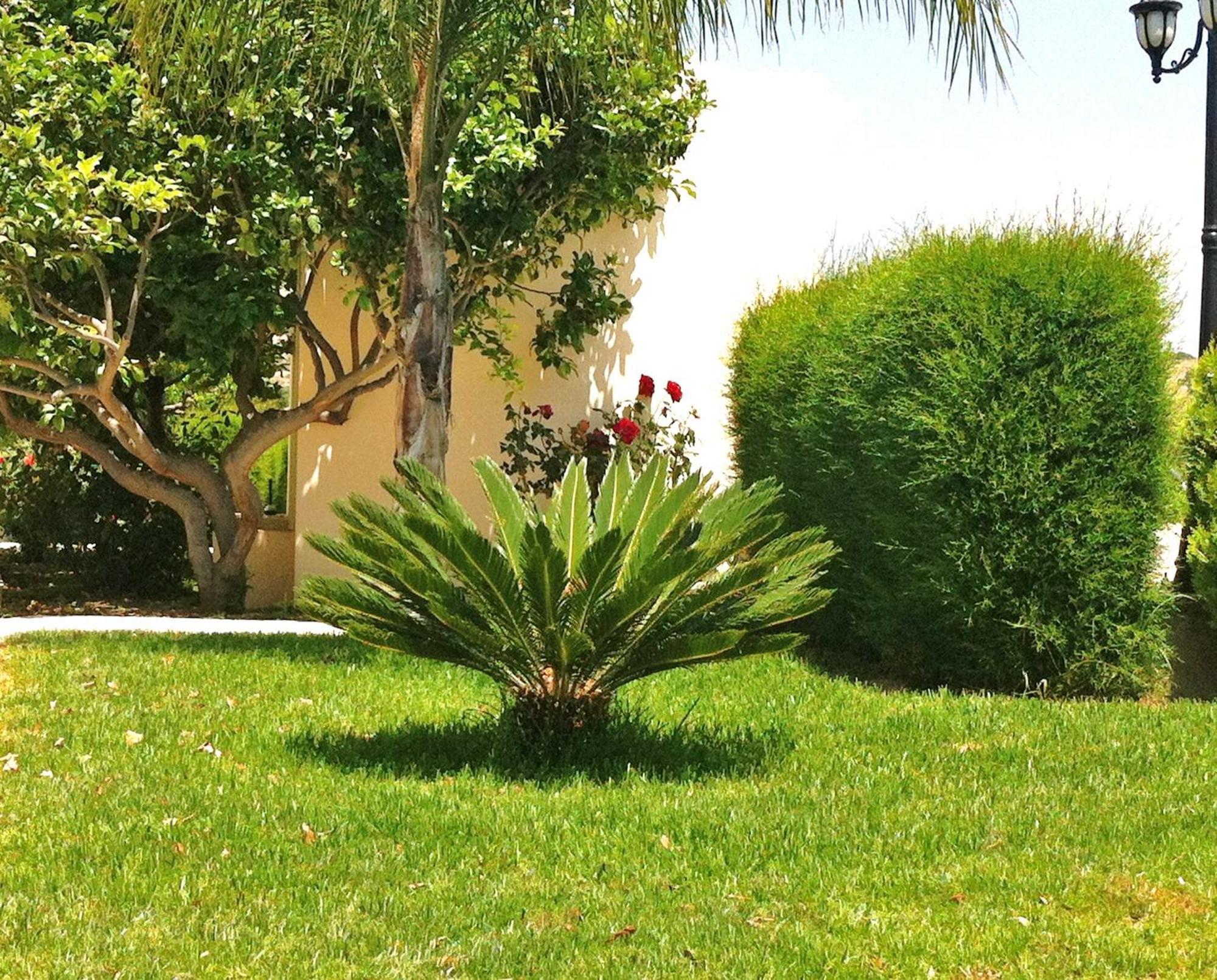 Himonas Apartments Pissouri Ngoại thất bức ảnh